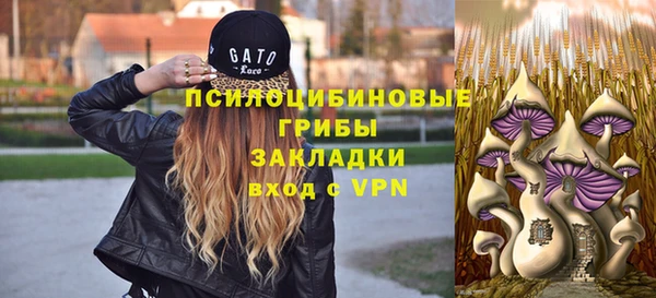 дживик Ростов